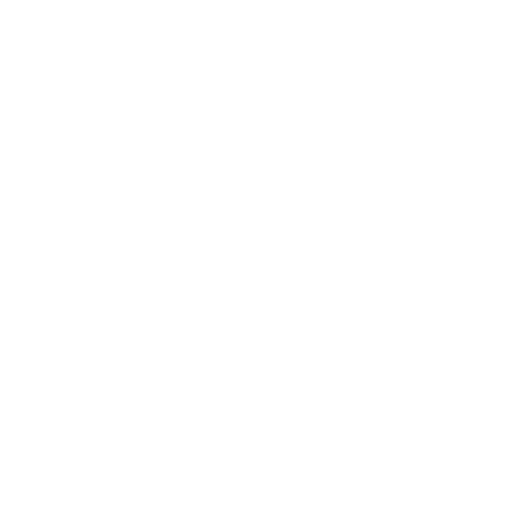 Softvision